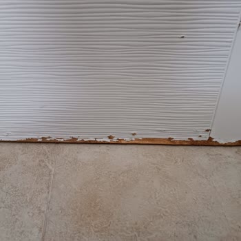 Aile ve Sosyal Hizmetler Bakanlığı Çocuk Evleri Ev Kiralama