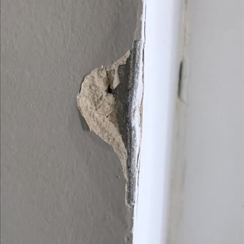 Barış Evden Eve Nakliyat (Adana) En Az 10 Bin Zarar 2 Kişi 3 Ev 1 Kamyon