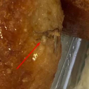 City Gross'tan Aldığım Tatlıda Sinek Çıktı