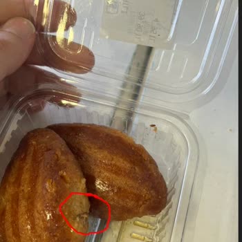 City Gross'tan Aldığım Tatlıda Sinek Çıktı