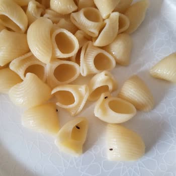 Pastavilla Makarna Böcek Sorunu