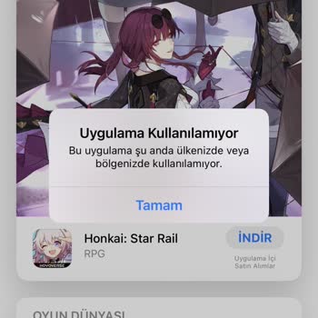 Litmeç Hesaba Giriş Yapamıyorum