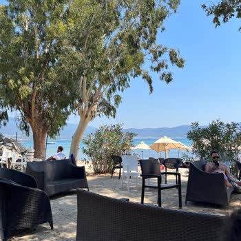 Halal Paradise Didim Oteldeki Yemekler Ve Hizmetler