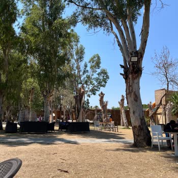 Halal Paradise Didim Oteldeki Yemekler Ve Hizmetler