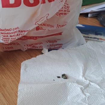 Donas Çakıl Taşı Dürüm