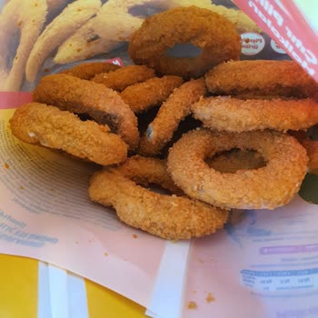 Lezita Tavuk Halkaları Küflenmesi Ve İlgisizlik, Hijyensizlik!