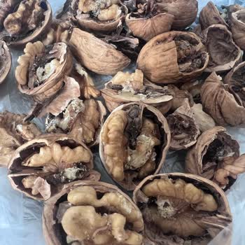 File Market File Eski Cevizleri Satıyor