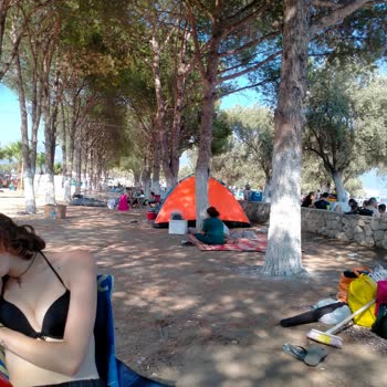 Didim Belediyesi Didim Zabıta Ekipleri