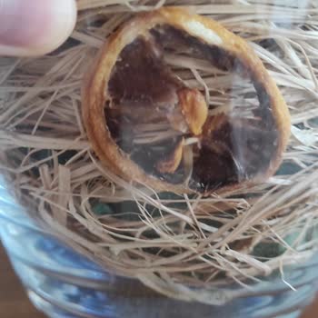 Çiçek Sepeti Kusurlu Ürün Gönderimine Karşı Müşteriyi Korumuyor