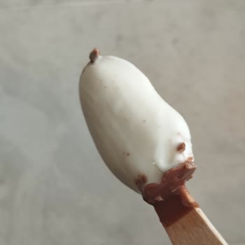 Dondurmacı Amca Kıl Çıktı Dondurmadan