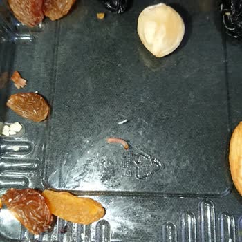 Migros - Atom Mix Karışık İçerisinden Solucan Çıkması Hk.