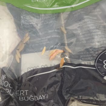 BİM Arpa Şehriyede Kurt