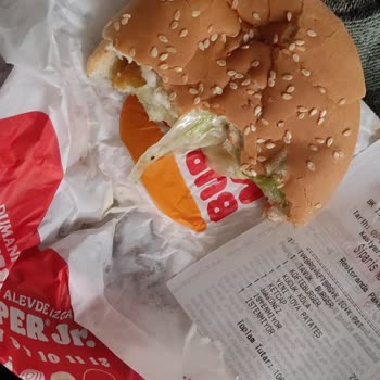 Burger King Yeşillik Üstünde Böcek Çıktı