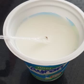 Sütaş Ayrandaki Böcek!