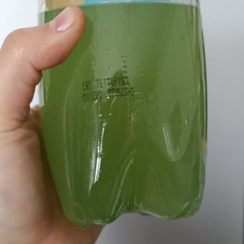 Schweppes İçecek Dibine Çöken Bir Şeyler Var!