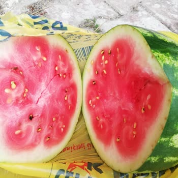 Şok Marketler Bozuk Karpuz İadesi Almadılar