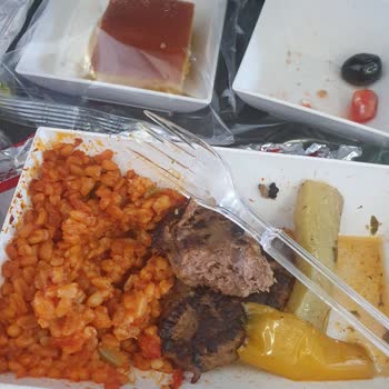 Pegasus'un Pahalı Ancak Yanmış Yemekleri