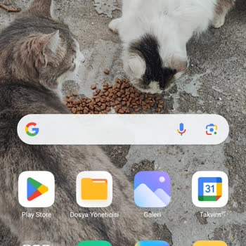 Vodafone İnternet Ve Şebeke Sorunu
