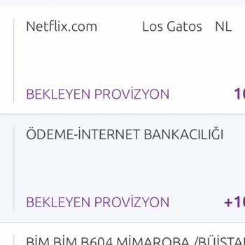 Netflix İn Üyelik Ücretini Çekmeyip Yüksek Ücrete Çıkarma Oyunu!