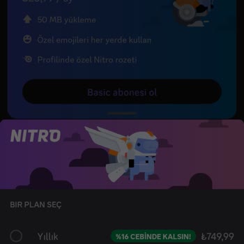 Discord Planı Onaylayın
