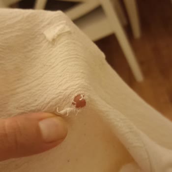 Sinem Kıvanç Butik Defolu Ürün Gönderiyor