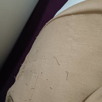 Alvina Dan Aldığım Gömlek Tel Kaçırıyor