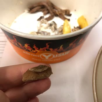 Köfteci Yusuf 'ta Tüy Dolu Et