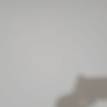 DASK Exper Atamadan Evimi Değerlendirme Dış Bıraktı.