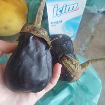 Getir Para İadem Yapılmadı