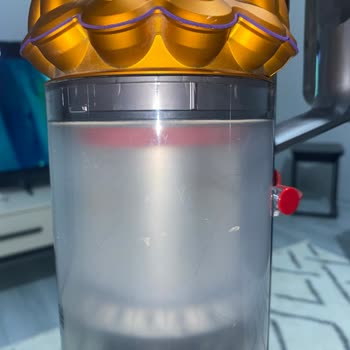 Dyson Toz Haznesi Buğu Yaptı