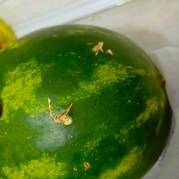 Getir Bozuk Ürün Para İadesi