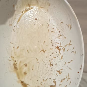 Petlebi Tarihi Geçmiş Ürün