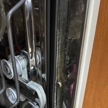 Vestel Bulaşık Makinesi Paslanma Şikayetim. Windsor Olan Ürünü