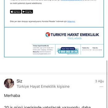 Türkiye Hayat Emeklilik 20 İş Günü Oldu Paramı Yatırmadılar