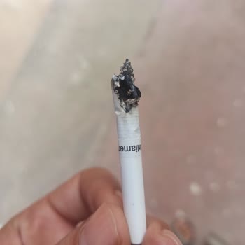 Parlement Ten Odun Çıkıyor