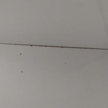 Genco Mağazası Ürünün Arkasında Durmuyor Tedarikçi Sorunu Yaşıyan Mağaza