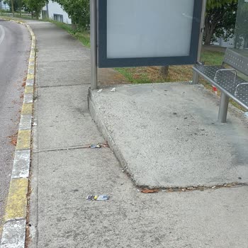 İzmit Belediyesi Çöp Ve Temizliğin Olamaması