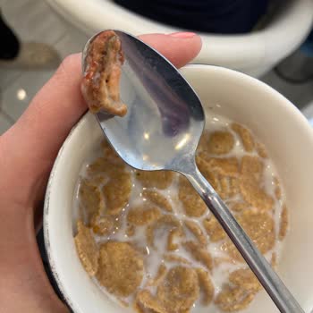 Kellogg's Çürük, Bozuk, Kurtlu