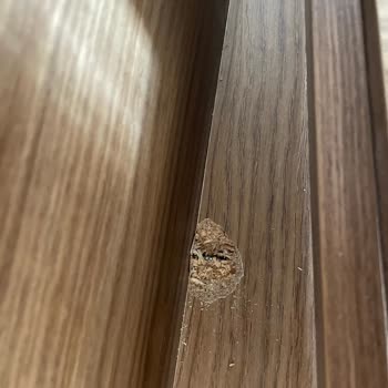 Çetinler Evden Eve Nakliyat Kayseri Eşyalarımın Kırılması