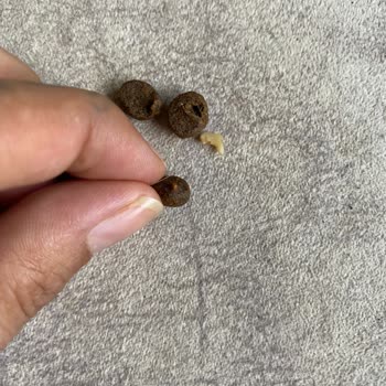 Farmina Nd Mamada Kemik Parçaları