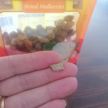 Çerezya Dut Kurusu İçinden Taş Çıktı!