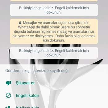 WhatsApp 'ta Gelen Spam Mesaj
