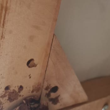 Davin's Mobilya Kötü Gelen Mobilya Takımı