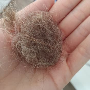 Turan Ali Bayan Kuaförü (Kırıkkale) Saç Dökülmesi