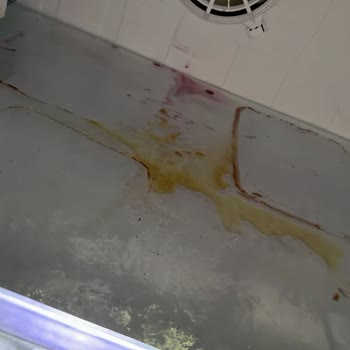 Beko Buzdolabı Soğutmuyor Buzluk Dondurmuyor