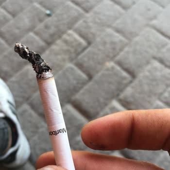 Philip Morris Sigara İçmek İstiyoruz Dal Değil