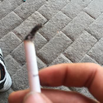 Philip Morris Sigara İçmek İstiyoruz Dal Değil