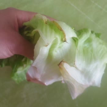 Getir Yemek Çiğköfte