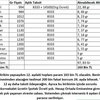 Eminevim Pişmanlıktır. Hesaplayın Altın Alın Daha Karlı Çıkarsınız