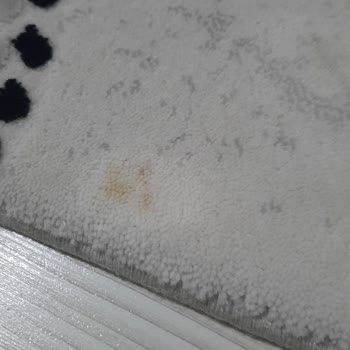 Anadolu Halı Yıkama (Bursa) Halı Yıkama Lekeli Geri Geri Geldi